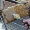 Honing van de imker 250 gram